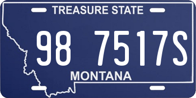 MT license plate 987517S