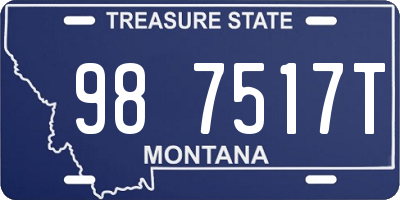 MT license plate 987517T