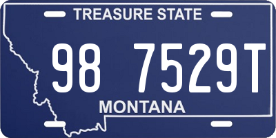 MT license plate 987529T