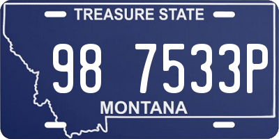 MT license plate 987533P