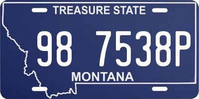 MT license plate 987538P