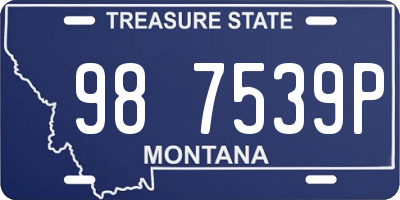 MT license plate 987539P