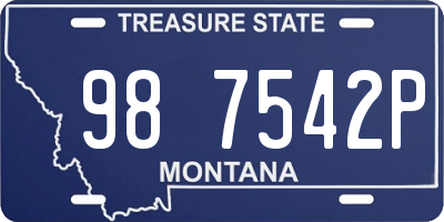 MT license plate 987542P