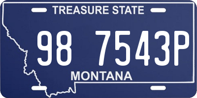 MT license plate 987543P