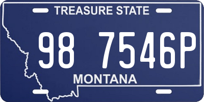 MT license plate 987546P