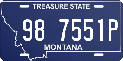 MT license plate 987551P