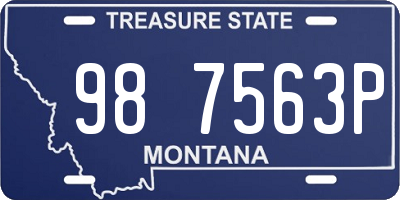 MT license plate 987563P