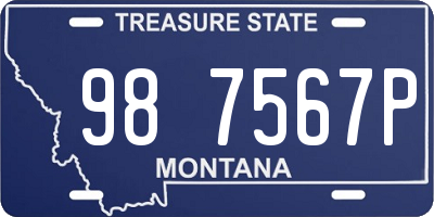 MT license plate 987567P
