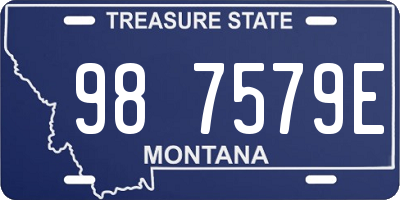 MT license plate 987579E