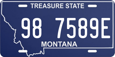 MT license plate 987589E