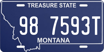 MT license plate 987593T