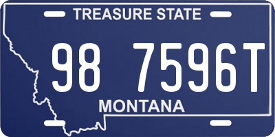 MT license plate 987596T