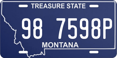 MT license plate 987598P