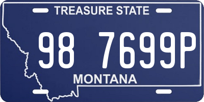 MT license plate 987699P