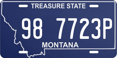 MT license plate 987723P