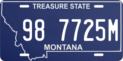 MT license plate 987725M