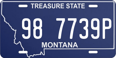 MT license plate 987739P