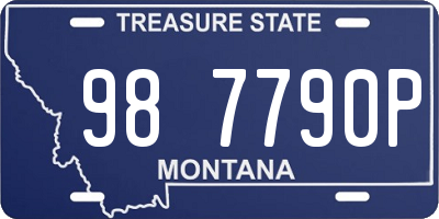 MT license plate 987790P