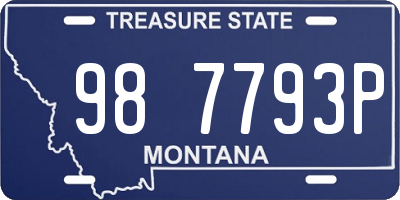 MT license plate 987793P