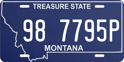 MT license plate 987795P