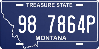 MT license plate 987864P