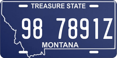 MT license plate 987891Z