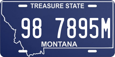 MT license plate 987895M