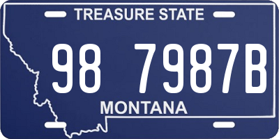 MT license plate 987987B