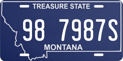 MT license plate 987987S