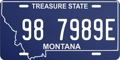 MT license plate 987989E