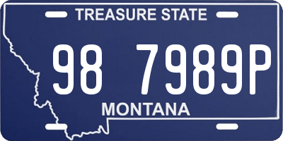 MT license plate 987989P