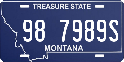 MT license plate 987989S