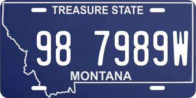 MT license plate 987989W