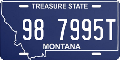 MT license plate 987995T