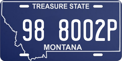 MT license plate 988002P