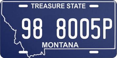 MT license plate 988005P