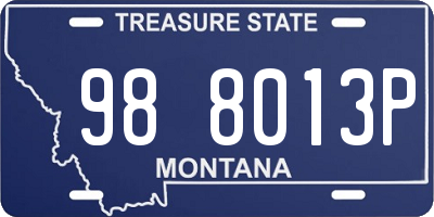 MT license plate 988013P