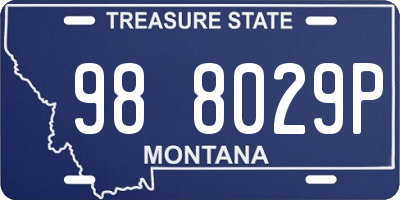 MT license plate 988029P
