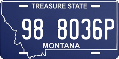MT license plate 988036P
