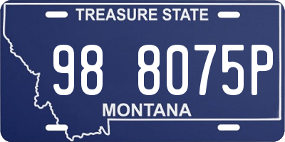 MT license plate 988075P