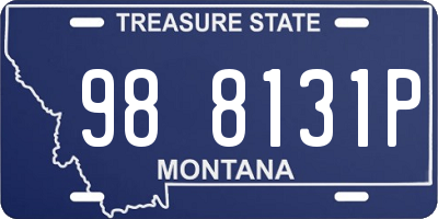 MT license plate 988131P