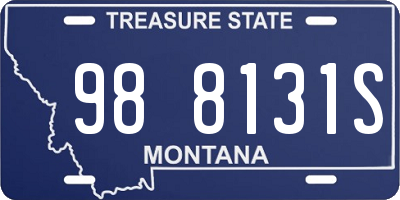 MT license plate 988131S