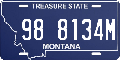 MT license plate 988134M