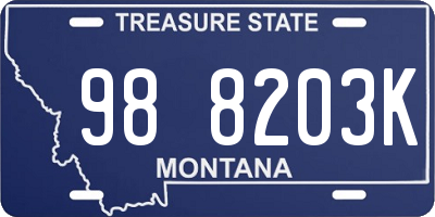 MT license plate 988203K