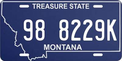 MT license plate 988229K