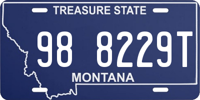 MT license plate 988229T