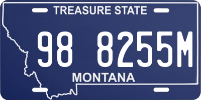 MT license plate 988255M