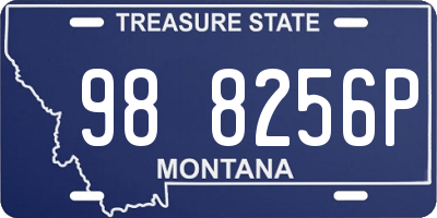 MT license plate 988256P