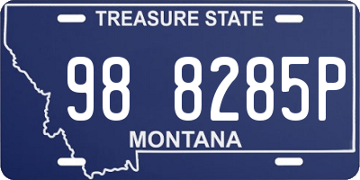 MT license plate 988285P