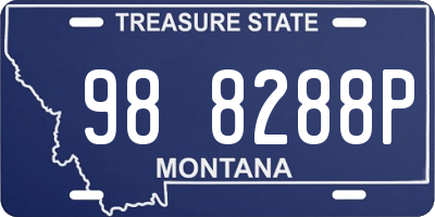MT license plate 988288P